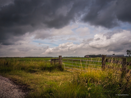 Woudpolder 2 NH