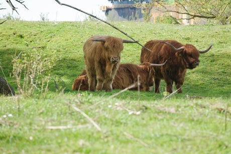 Tot hier en niet verder