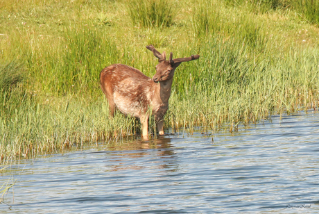 Cooling down