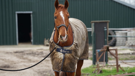 lenstest |Sigma 70-200 | F2.8