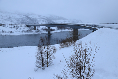 Lofoten