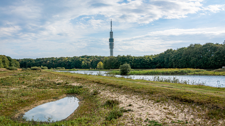 Goois Natuurreservaat de Zanderij