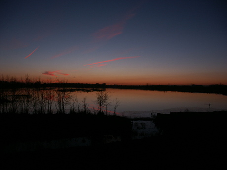 Avond in de biesbosch