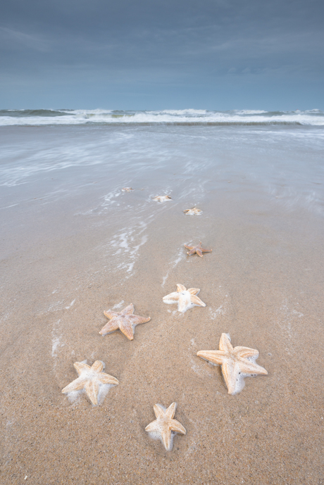 Beachlife!