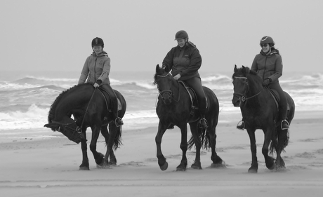 Op het strand van Texel