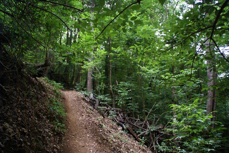 Waihuo Springs Trail