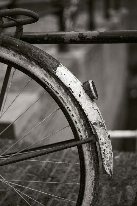 Fiets, Schoonhoven.