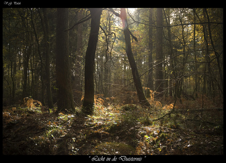 Licht in de Duisternis