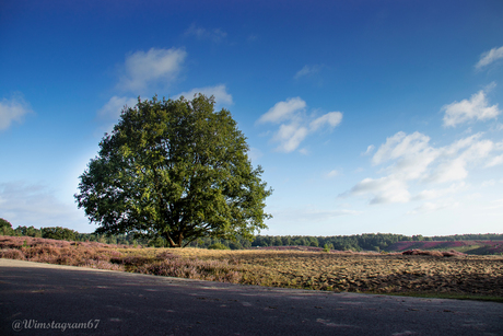 Posbank Rheden