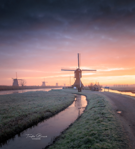Heerlijke kleurtjes