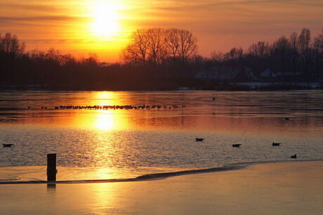 Haarrijnse plas