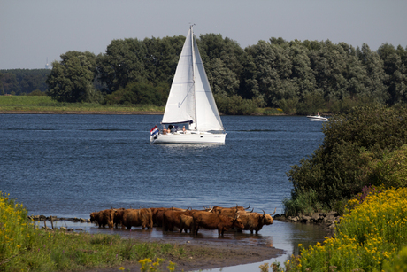 Genieten van het water