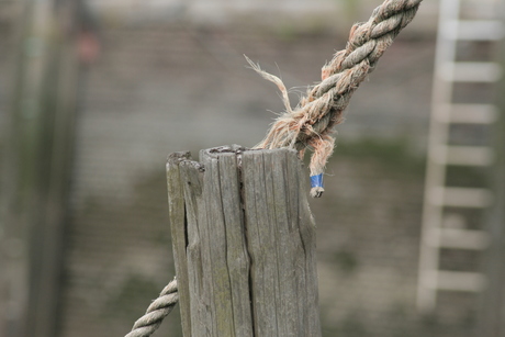 Uitgestorven haventje