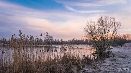 Natuurreservaat de Blauwe Kamer