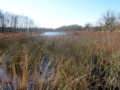 Lente 2014 op de Drentsche Aa