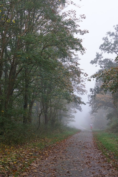 Hardloper in de mist