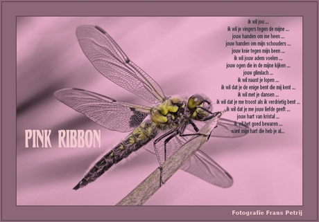 Pink Ribbon 2011