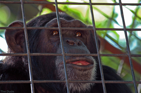 Behind bars