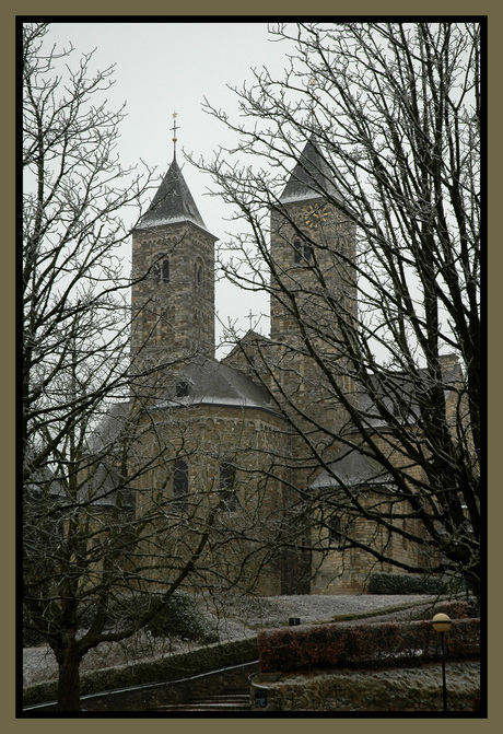 Basiliek in winter landschap