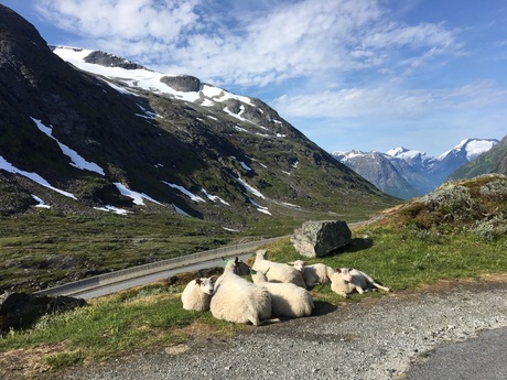 Wandelen in het Noorse fjordengebied