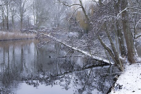 Winter in het water