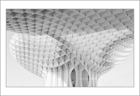 espacio metropol parasol 2