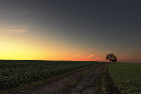 Boom en schuur bij zonsondergang