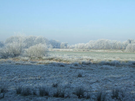 winterlandschap