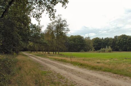 Eindeloze Veluwe 4