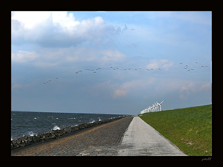 dijk in Urk