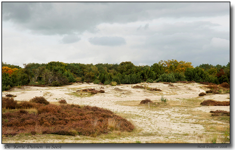 De Korte Duinen in Soest