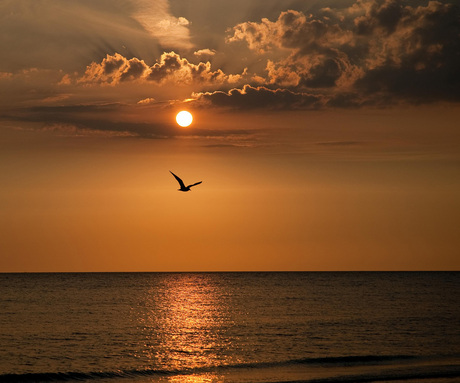 Rockanje,strand..jpg