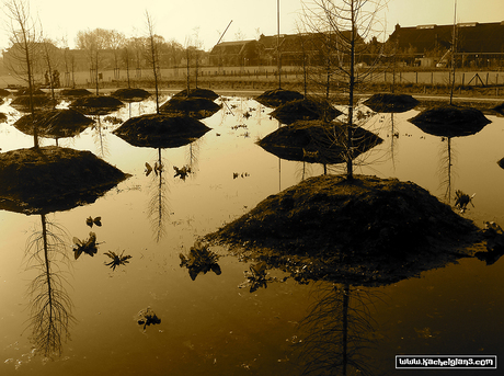 Westerpark, Amsterdam