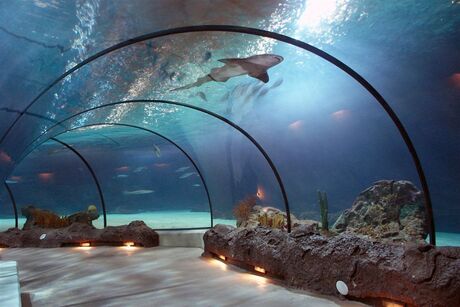 Blijdorp Aquarium