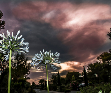 zonsondergang in zuid frankrijk