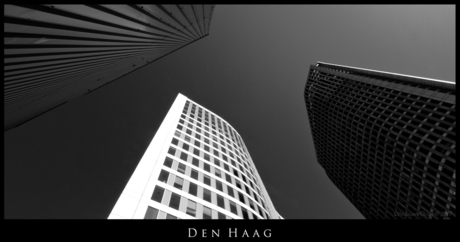 Den haag