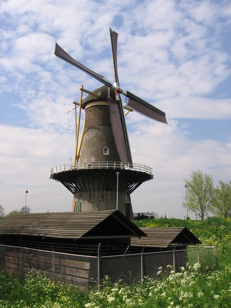 Daar bij die molen...