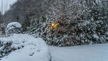 Licht in de sneeuw 