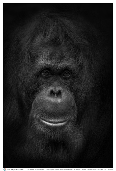 Dark and Moody Portrait > Sandy