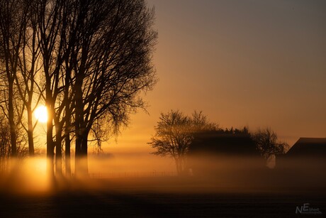 Mistige zonsopkomst