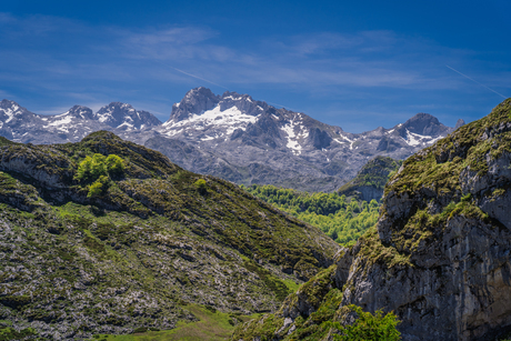 Picos de Europa