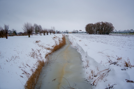 Winter in Kudelstaart