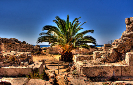 Big Pineapple between the baths of the romans..