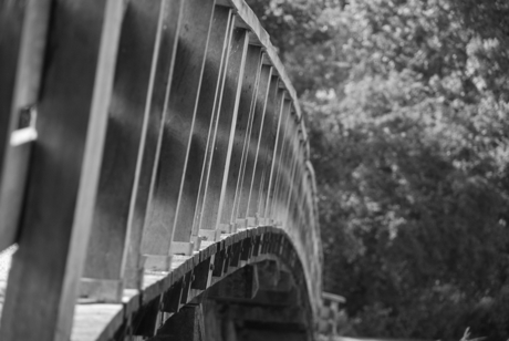 brug in het park