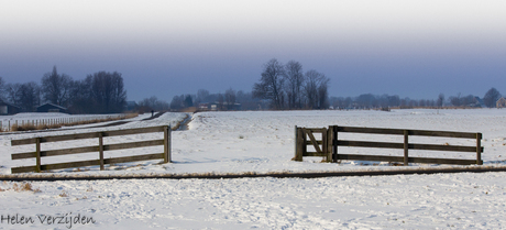 Winterpolderplaatje