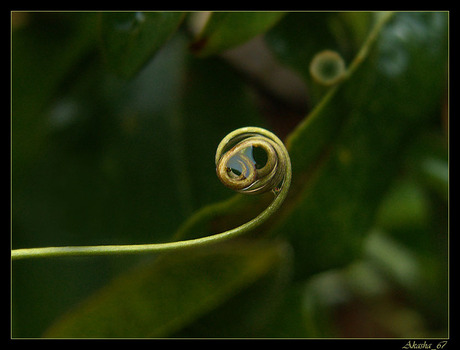 Nog een stukje passie