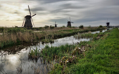 Kinderdijk