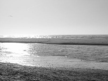 strand Noordwijk aan zee