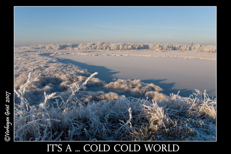 It's a... cold cold world !