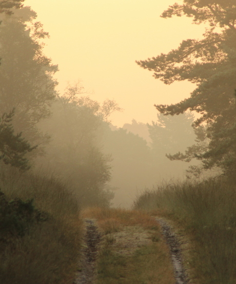 mist en zonsopgang